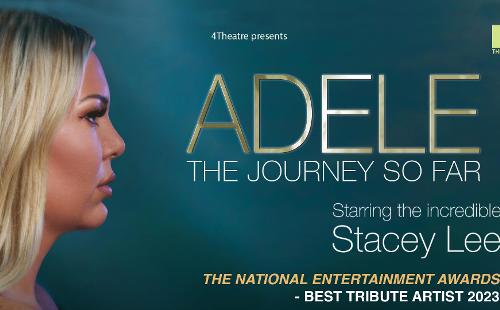 Poster for Adele - The Journey So Far