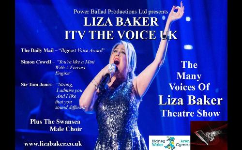 Poster for The Many Voices of Liza Baker