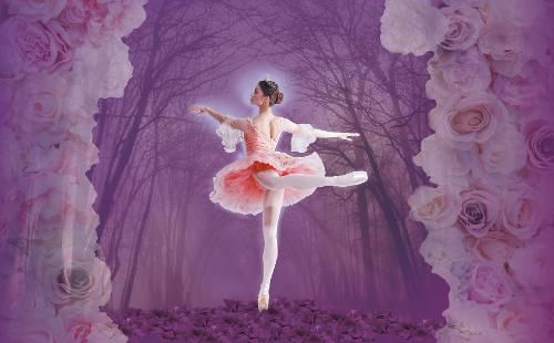 Poster for Sleeping Beauty