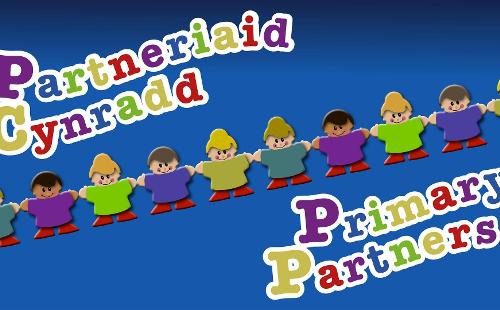 Poster for Primary Partners