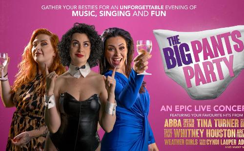 Poster for The Big Pants Party